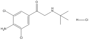 Ethanone,1-(4-amino-3,5-dichlorophenyl)-2-[(1,1-dimethylethyl)amino]-,monohydrochloride